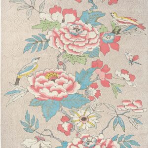 Paeonia coral | 037902